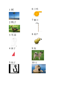 数字编码记忆法图文(1-50)