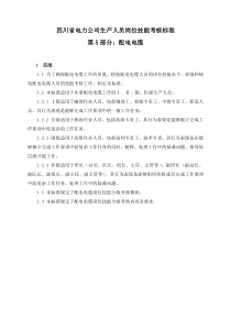 四川省电力公司生产人员岗位技能考核标准