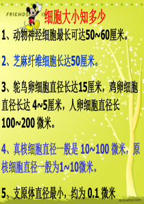 人教版教学课件2009年广东地区生物(必修一)细胞的多样性和统一性课件