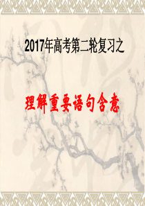 2014现代文复习之重点句子含意(共22张PPT)