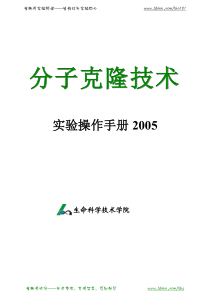 90分子克隆技术实验操作手册