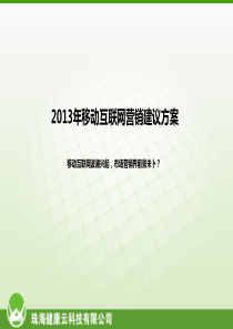 2013年移动互联网营销建议方案