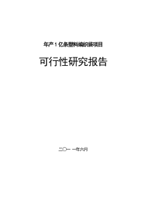 年产2亿条塑料编织袋项目可行性研究报告1439102207