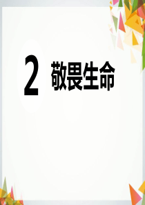 道德与法制敬畏生命