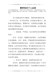 教师党员个人总结