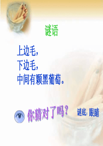 《爱护眼睛》