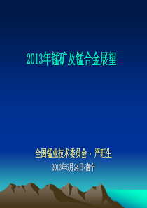 2013年5月―锰矿及锰合金展望