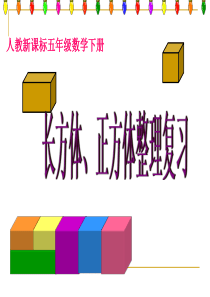 长方体和正方体整理与复习