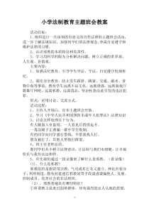 小学法制教育主题班会教案