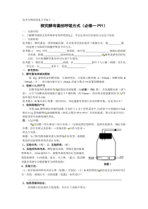 高考生物实验复习学案探究酵母菌的呼吸方式