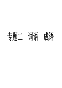 652011年中考语文复习专题2 词语 成语课件 人教新课标版