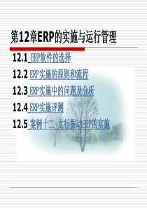 第12章ERP的实施与运行管理