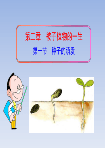 七年级生物上册-第三单元-第二章-第一节《种子的萌发》课件-新人教版