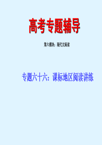 高考语文二轮专题复习课件六十六(下)课标地区阅读讲练