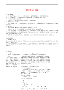 高中生物分子与细胞教案4.1《ATP和酶》(3)