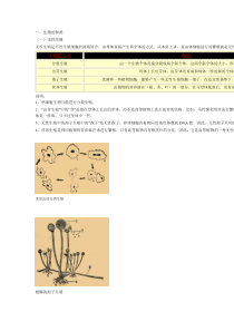 高中生物学习笔记2