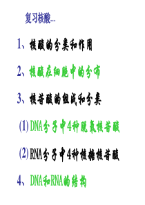 高中生物必修一核酸知识点复习