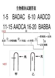 高中生物必修三期末试题答案