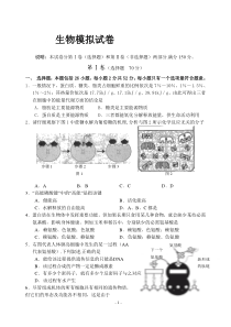 高中生物模拟试卷22