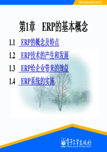 第1章企业资源计划(ERP)