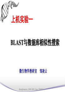 BLAST与序列相似性搜索上机