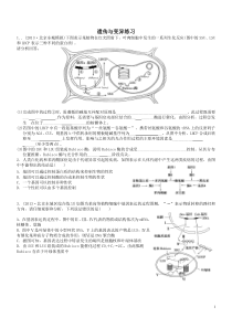 高中生物遗传与变异专题练习