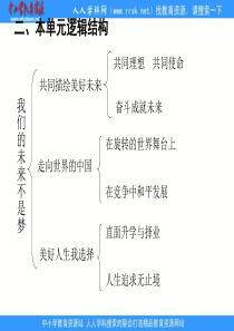 鲁教版九年《第四单元我们的未来不是梦》