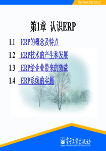 第1章认识ERP