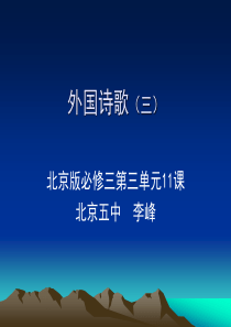 高中语文北京版必修三第三单元11课外国诗歌(三)课件