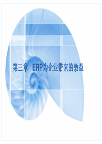 第3章 ERP效益