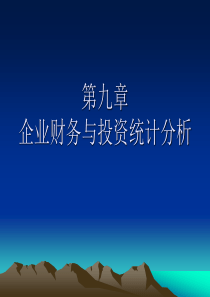 第十章企业财务与投资统计分析