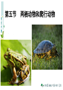 初中生物-两栖动物和爬行动物ppt