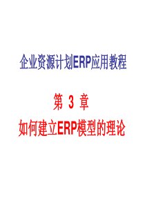 第3章ERP模型理论