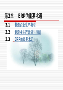 第3章ERP的重要术语