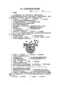 高一生物第四章综合测试题