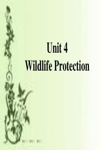 高一英语Wildlife_Protection课件