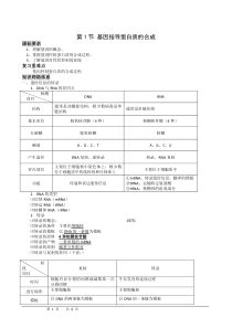 高三一轮复习基因指导蛋白质的合成