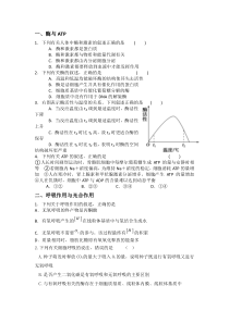 高三专题复习之新陈代谢练习题