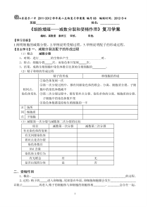 高三复习学案：细胞增殖——减数分裂和受精作用1