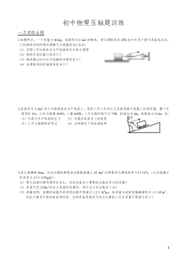 2019初中物理中考压轴题专项练习