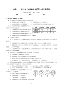 高三生物第一轮复习必修一第六章《细胞的生命历程》单元测试卷_Hooker