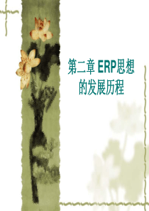 第二章ERP思想的发展历程