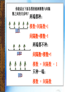 新人教版-封闭图形的植树问题