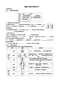 高三生物一轮复习减数分裂与受精作用学案