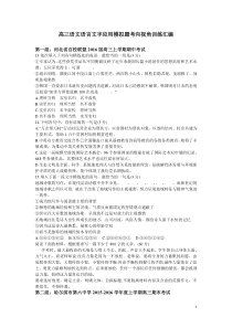 高三语文语言文字应用模拟题考向视角训练汇编