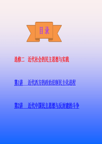 高中历史(人民版)选修二近代社会的民主思想与实践复习课件