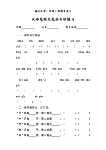 一年级上册汉字笔顺及笔画专项练习