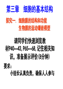 高中生物必修一细胞的基本结构细胞膜系统的边界