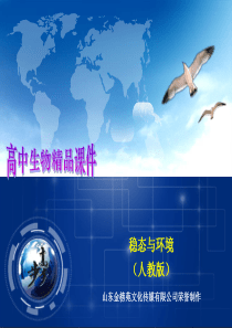 高中生物必修三生态系统的能量流动(精品课件).