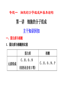 高中生物总复习细胞的分子组成